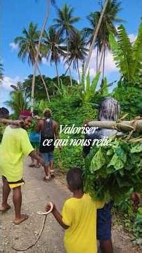 🐚 Archipel, c’est un espace pour comprendre et faire circuler les mémoires du Pacifique.