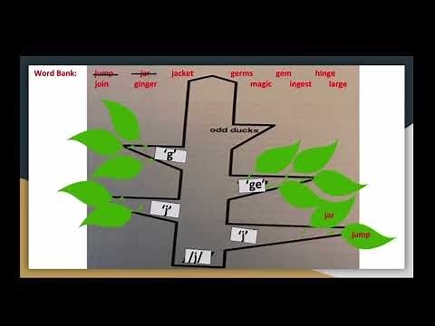 1st Grade CKLA Skills - Unit 5 Lesson 8 Spelling Alternatives: Introduce /j/ › ‘j’, ‘g’, and ‘ge’