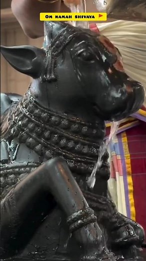 Karpura Gauram Song | Karpur Gauram Karunavtaram | कर्पूरगौरं करुणावतारं |karpur gauram#ganga
