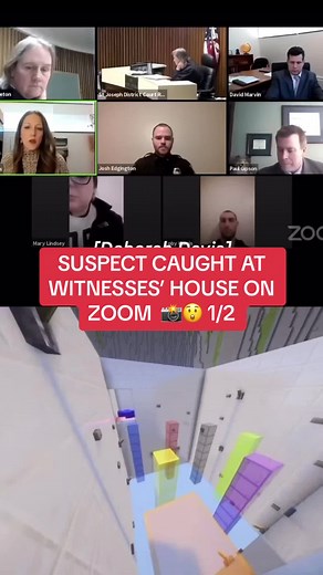 Judge on the Case on TikTok