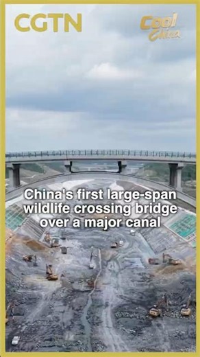 China's first large span wildlife crossing bridge over a major canal #coolchina