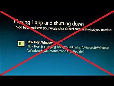 FIX - Task Host is stopping background tasks in Windows 10
