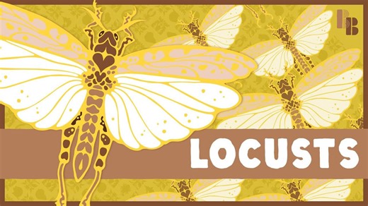 The strange thing that turns grasshoppers into locusts