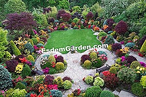 Azalea Japoneză: Sfaturi De Cultivare, Mărime Și Întreținere 🌿 Totul Despre Grădinărit Și Design De Gradina - 2025