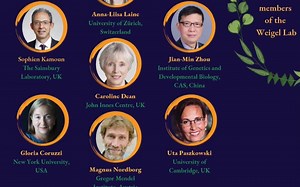 Detlef Weigel生日学术研讨会第三部分