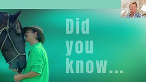 1.3K reactions · 138 shares | Unlocking the secret to deeper, trust-filled relationships between humans and animals. The FREE Messages of Trust video series introduces the Trust Technique®, transcending traditional training with understanding and empathy. This journey fosters lasting bonds, available now without any credit card requirements - pure learning for a transformative experience. | The Trust Technique | Facebook
