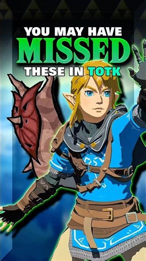 You MAY have missed these in Totk! #totk #botw #zelda