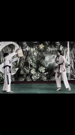 Achieving Black Belt in Taekwondo: Tips and Techniques