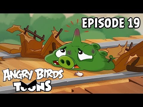 Angry Birds Toons | Short & Special - S3 Ep19