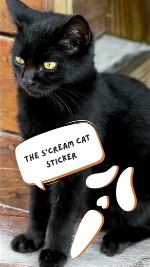 The Scream Cat Sticker. #smallbusiness #etsyseller #etsyseller