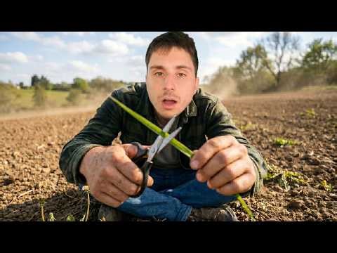 I Cut EVERY BLADE OF GRASS on Earth!