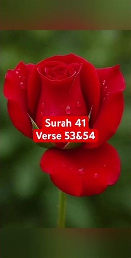 Surah 41 verse 53&54