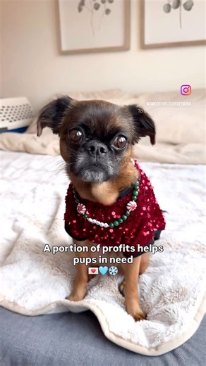Amazing news! Smoothie Louis Designs is donating a portion of every purchase made between now and December 31st to NBGR and Parachute for Pets! 🥹 @smoothielouisdesigns is a Griff-mom owned business that makes the most beautiful accessories for dogs and their people! 💍 @parachutesforpets is a Canadian charity that supports vulnerable people who are temporarily unable to care for their animals due to crisis situations like domestic abuse, hospitalization, and homelessness. They believe that no o