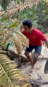 Discovery of gold rust ⚒️🔥 | Arsenio Gold Hunting