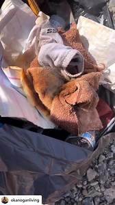 10K views · 119 reactions | Spontaneous Combustion: Many believe...