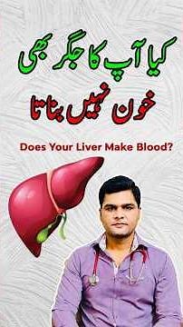 Does Your Liver Make Blood? The Science Explained