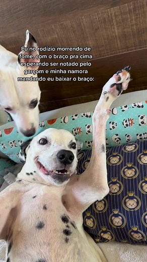 E o garçom: To invisível, tô invisível tô invisível 😂😂😂 #fyp #fy #engracado #funny #pet #dog #cachorro #rodisio