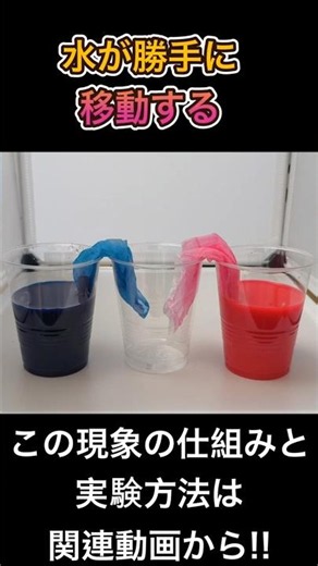 [How Is This Possible!?] Science Experiment: Watch Water Move on Its Own. Great for a School Proj...