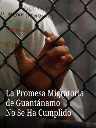 Guantánamo pasó de prisión para acusados de terrorismo a centro para migrantes tras una orden de Donald Trump para construir un centro con capacidad para 30 mil personas. Menos de 900 migrantes han sido enviados ahí desde entonces, según documentos oficiales. También se han realizado traslados de migrantes detenidos al CECOT en El Salvador. #nmásunivision #guantánamo #migración #trump #cecot