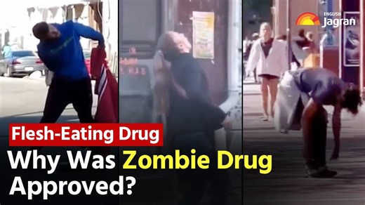 Xylazine: Why was zombie drug approved? | Flesh-eating drug | Jagran English
