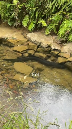 Waitomo glow worm caves was beyond neat. And the countryside was like something straight out of a movie. Loved it!!! | Jamie Haynes