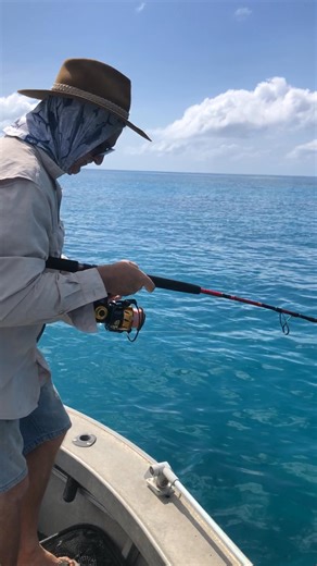 tea leaf trevally on a Storm lure | Martin Henderson