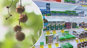 Victorians warned to brace for extreme pollen levels