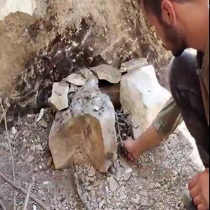 2.4M views · 10K reactions | Making a Cave Shelter with FIRE - Bushcraft Camp with my Dog in the Wild, Nature Documentary - Camp With My Dog | Dentomo | Facebook