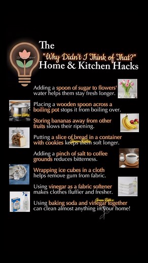If you haven't tried the wooden spoon hack or the bread-and-cookie trick, you're doing it wrong. 😂 These are the absolute best, most effective, and ridiculously simple home and kitchen hacks you didn't know you needed. Which one are you testing out first? Let me know! 👇 #LifeHacks #KitchenHacks #GeniusHacks #HomeTips #SimpleSolutions #CleanTok #CookingTricks #MustTry #AdultingMadeEasy | Gracia Robles