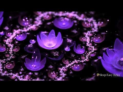 Deep Soothing Dream Calm, 20 minutes of Fast Healing Stress Relief ★ 84