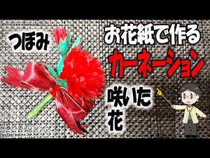Kimie Gangi Carnation buds and flowers made from flower paper