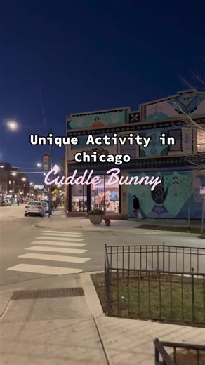 Cuddling with bunnies?! 🥹🐰 Count us in! Pro-tip: they’re open Thursday-Tuesdays from 10-8pm (🎥: @eliana shiloh //📍 Cuddle Bunny) #chicago #bunny #chicagobucketlist