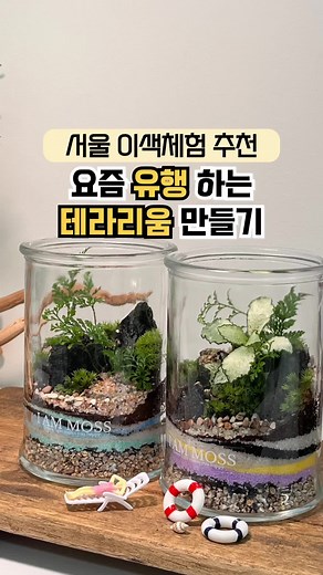 요즘 유행하는 테라리움 만들기! 나만의 작은 생태계