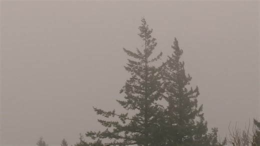 Portland metro area prepares for possible snow