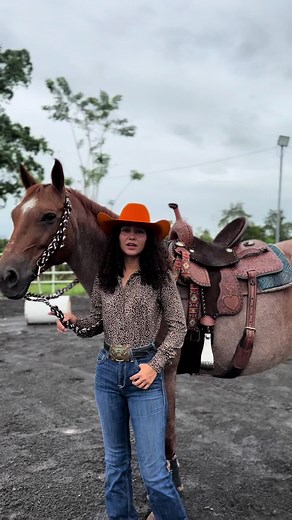 Monturas Barrileras en Costa Rica - Equus Inversiones