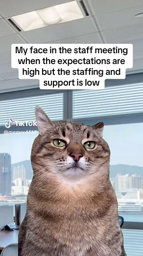 Work Humor: Staff Meeting Expectations and Reality