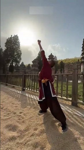 Shaolin Kung Fu: Movie Myths vs. Reality