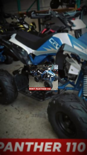 SPECIAL OFFER PANTHER 110 JUNIOR QUAD OUR BEST SELLER LAST 10 YEARS QUAD IS AS NEW ONLY €999 HOME DELIVERY ALL IRELAND COMES BUILT TESTED READY FOR FUN AVAILABLE IN OUR Xmas Club ALSO muckandfun Easy pay over 3 months both no extra costs €1425 new . Other options avaiable. TEXT and Whatsapp 086 193 6623 for quick replies and info GREAT value for money quality quad that kids adults can use has speed regulator for younger riders SIMPLE easy to use ONE of our best sellers last 12 years FULL 1 Year 