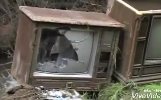 【全程高能】老外砸电视合集，小电视表示……