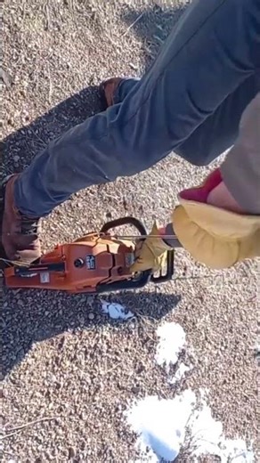 Chainsaw Quick Start (Timber-Wolf)