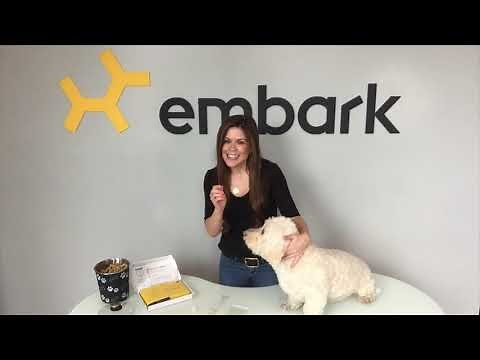 Embark Vet Dog DNA Swab Tutorial