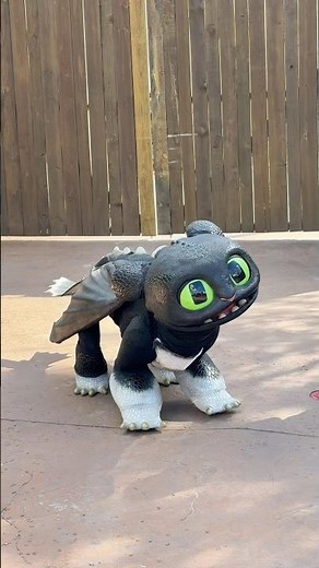 Baby Dragons at Universal Epic Universe! #epicuniverse