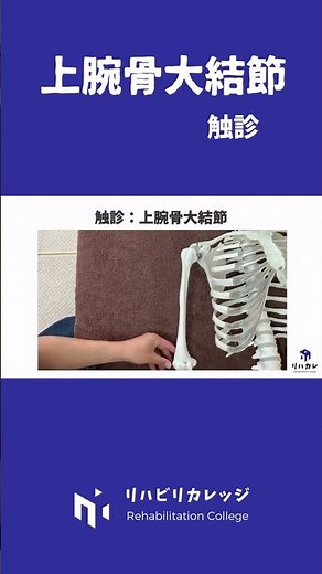 上腕骨大結節の触診のコツ［骨の触診］#shorts #リハビリカレッジ #骨の触診