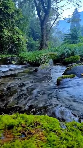 Vidéos de _be_one_ (@b1_be_one_) avec Baby I'm Yours - Breakbot