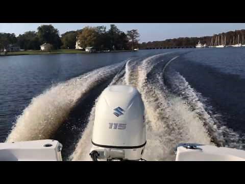 218 DLV powered by 2017 Suzuki 115 hp 4-stroke
