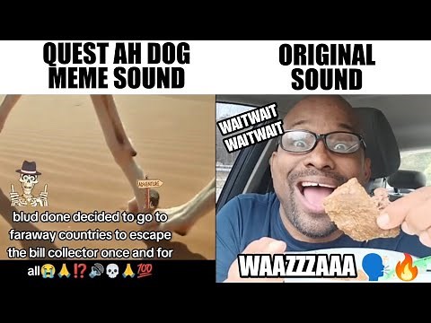 WAITWAITWAIT WHAT DA HELLL WAAZZAAA (quest ah dog Original vs Meme)