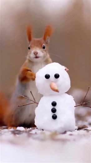 Beautiful Birds of the Wild | Nature Documentary 4K #birds #wildlifeentertainment #birdtrend