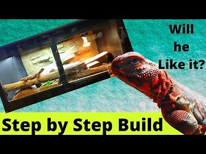 How to Build a Bio-Active Uromastyx Enclosure - Step by Step