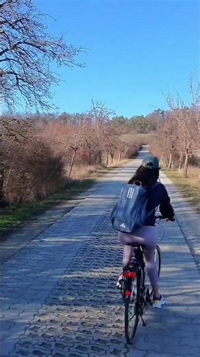 POV: Cycling through the peaceful countryside of Germany 🇩🇪🚴‍♂️
