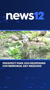PROSPECT PARK ZOO: The Prospect Park Zoo is making its long-awaited return! The zoo will open on Friday, May 24 ahead of Memorial Day weekend. https://bit.ly/3V1A8qr | News 12 Brooklyn